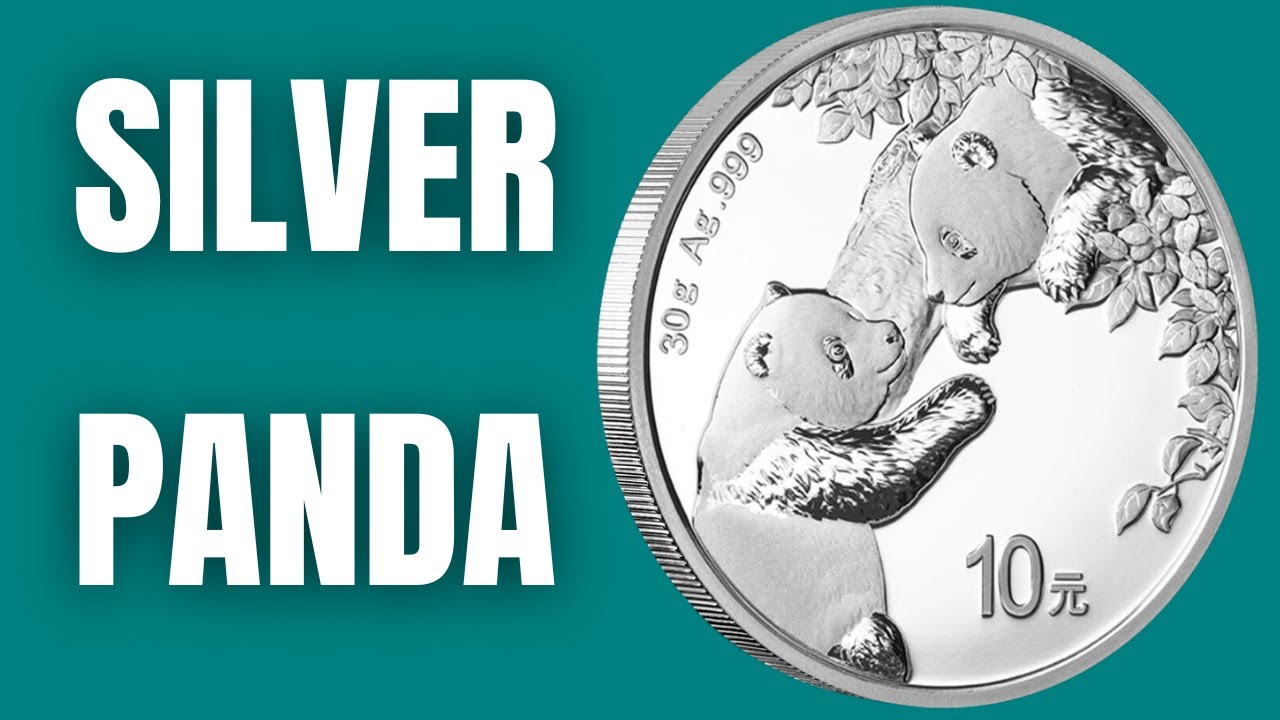 Is the CHINA Silver Panda Worth Buying?