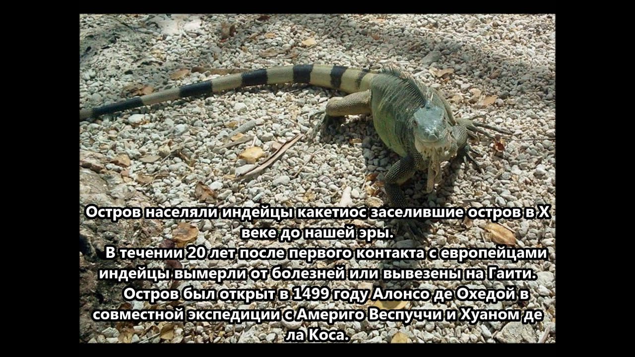 PJ4/AA2WN Остров Бонэйр