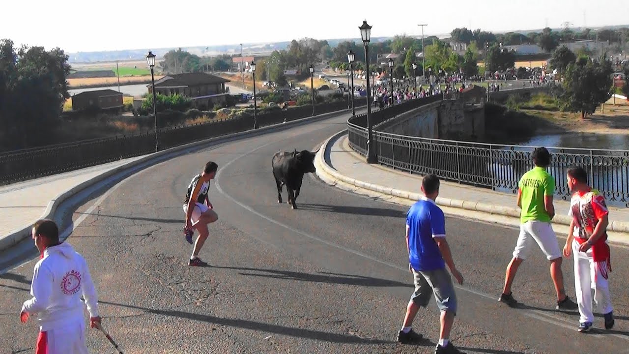 Tordesillas 2015 Ecierro del lunes