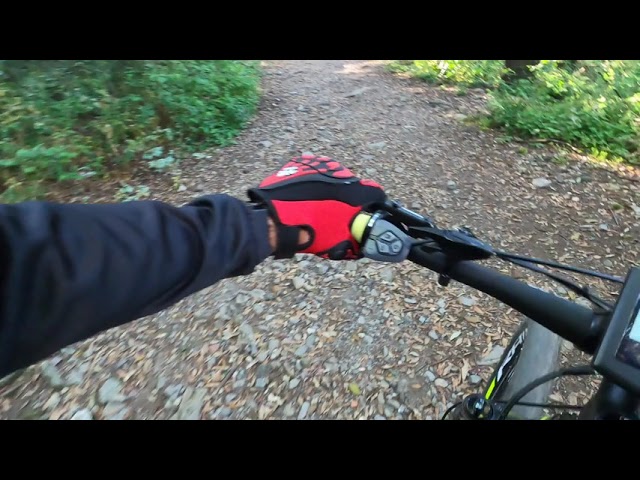 Grande Bottecchia BE 36 ELEKTRON - YouTube