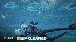 ⁣Deep Cleaning One Of The World's Biggest Aquariums | Deep Cleaned | Insider
