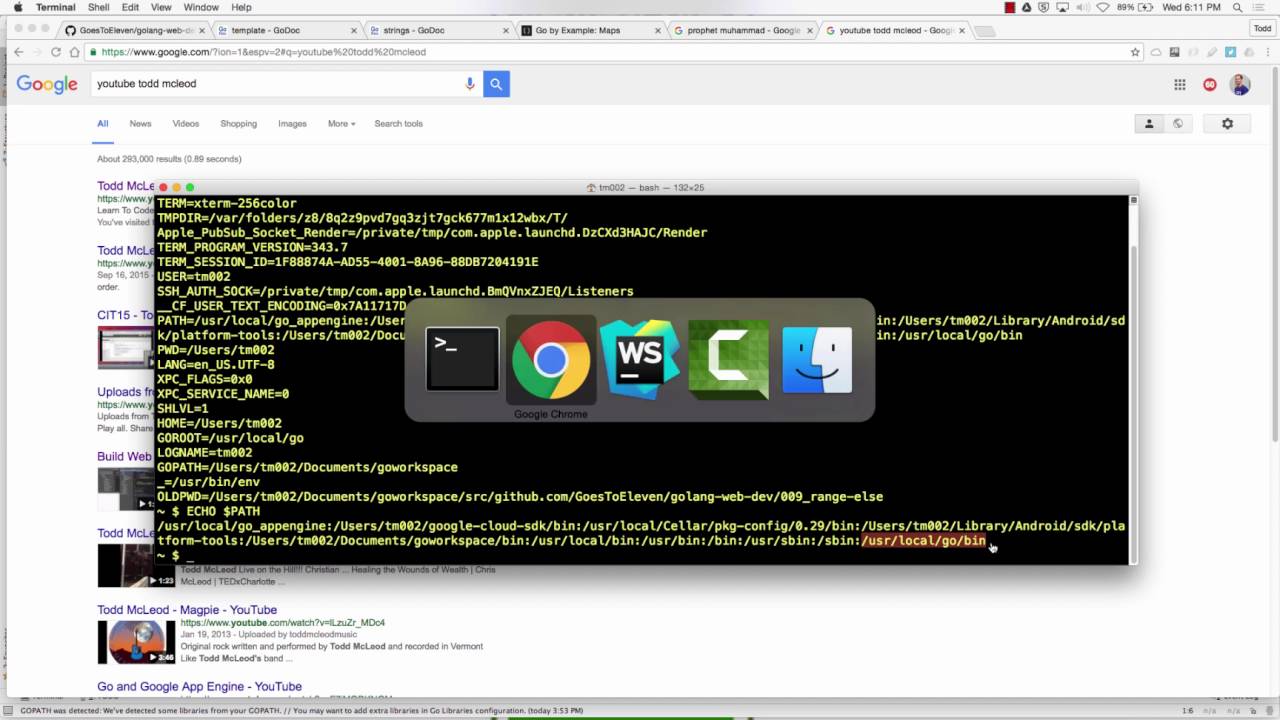 Golang Package Management, Namespacing, Envrionment Variables programming logic and design pdf