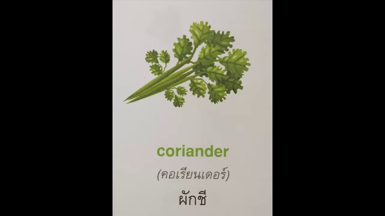 คำศัพท์ผัก ภาษาอังกฤษ คําอ่าน คําแปล | ข้อมูลทั้งหมดที่เกี่ยวข้องกับรายละเอียดมากที่สุดอาหาร ภาษา อังกฤษ คํา อ่าน คํา แปล