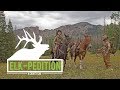 ELK-pedition | Our FIRST DIY Colorado Public Land Elk Hunt