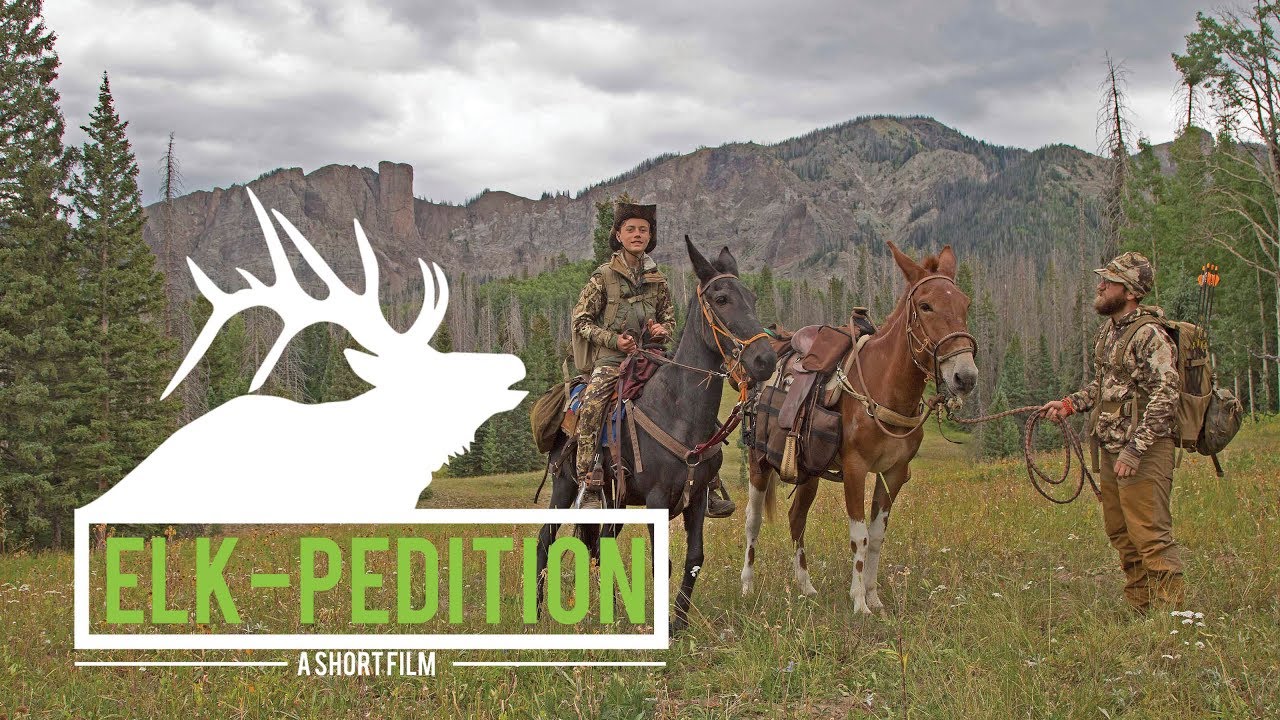 ELK-pedition | Our FIRST DIY Colorado Public Land Elk Hunt - YouTube