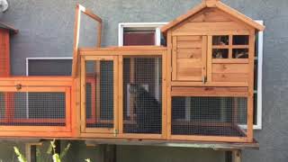 Catio project by M. Gonzalez 164 views 6 years ago 2 minutes, 23 seconds
