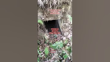 PENEMUAN BENTENG PERTAHANAN JAMAN BELANDA #belanda #jepang #indonesia #bentengbelanda #shorts #fyp