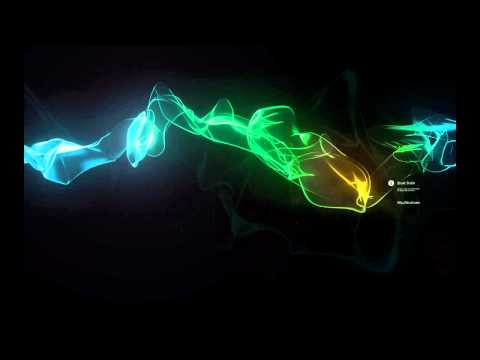 FLORIN SALAM -