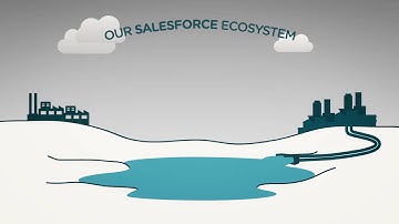 Salesforce Data Quality