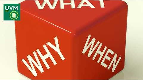 Introducing Policy Fridays