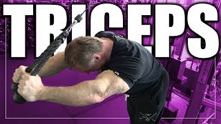 The Perfect Triceps Workout for 21 Inch Arms