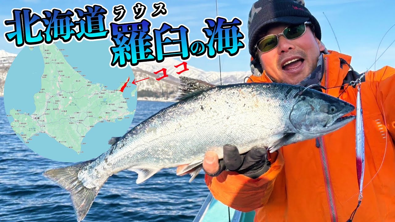 羅臼の海でモンスターを追う!