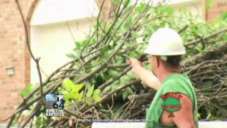 STAR64 Ask the Experts - Back Tree Service 2