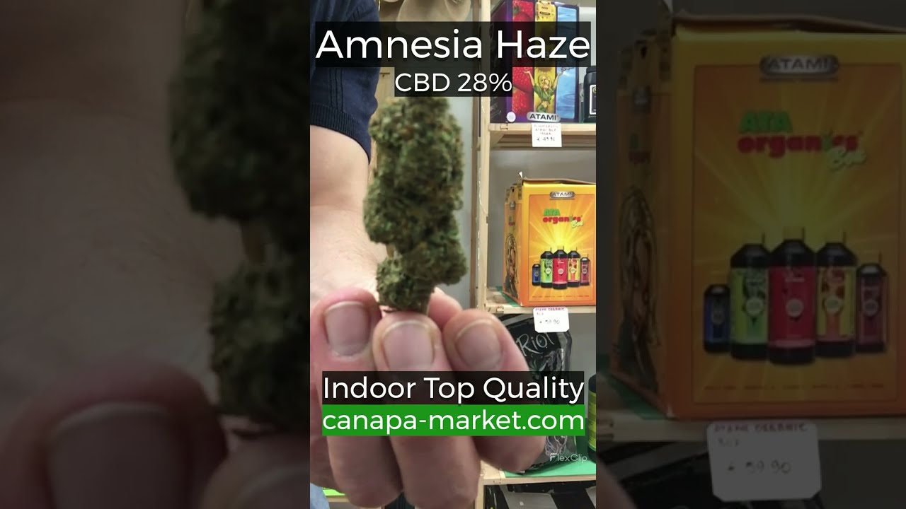 CBD Top Quality - Amnesia Haze - Cannabis Light by canapa-market.com