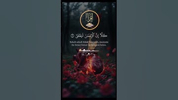 القران الكريم راحة النفسية #اكسبلور #القزابري #الرحمن #لايك #المصحف #دويتو #cat #حالات_واتس #due