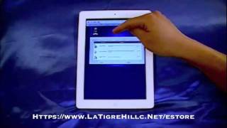 LT How to Activate Mika.mov screenshot 3