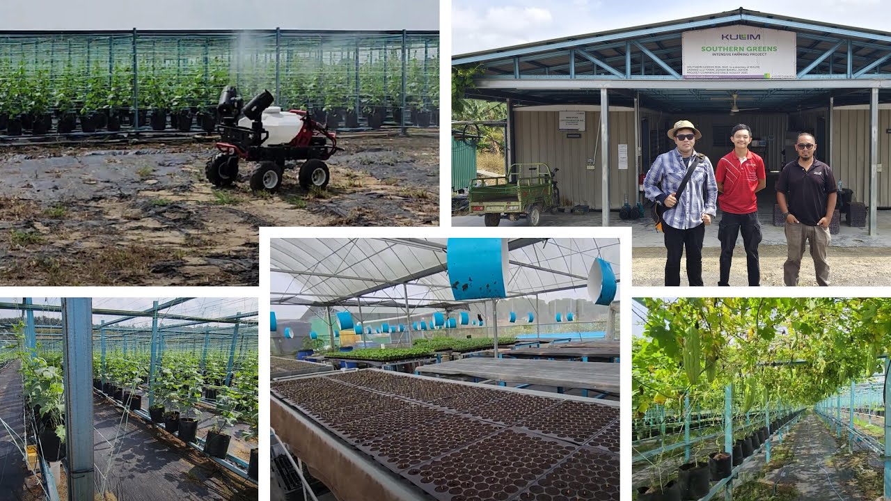 Ahmad Zafar bin Ahmad Khairul Nizam (210563) Internship at Southern Greens Sdn. Bhd.