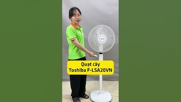 Quạt cây Toshiba F-LSA20VN có 5 cánh 3 tốc độ gió #dienmayvanphuc #quatdien #review