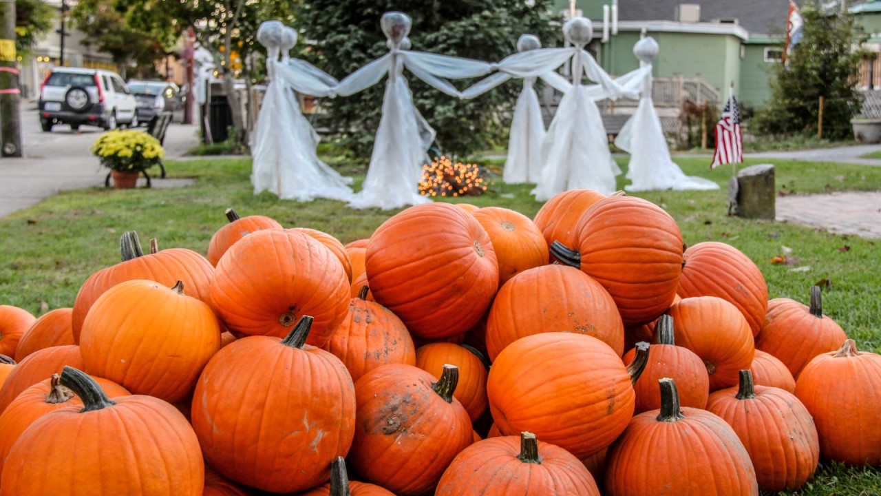 "Seasons Suite: Fall" by Maureen Feerick Danforth