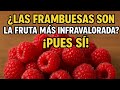 ¡Frambuesas contra el cáncer y la inflamación! Blueberries, tiemblen