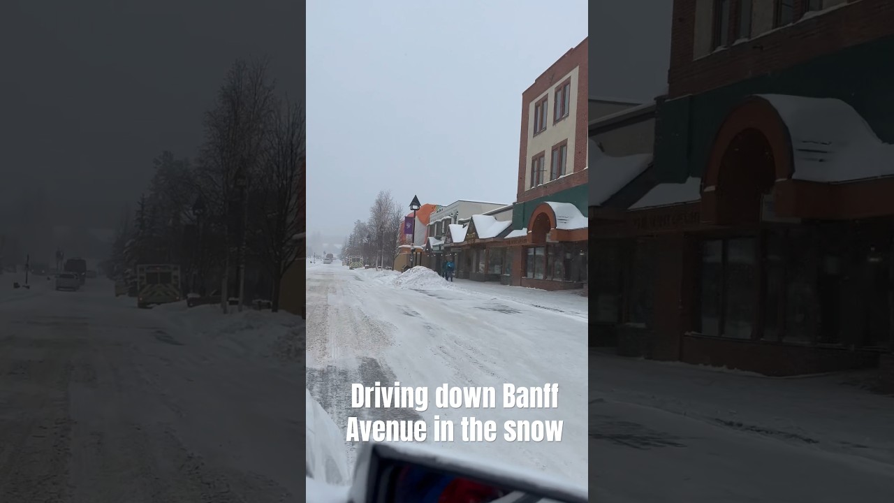 Driving down Banff Avenue as the snow falls