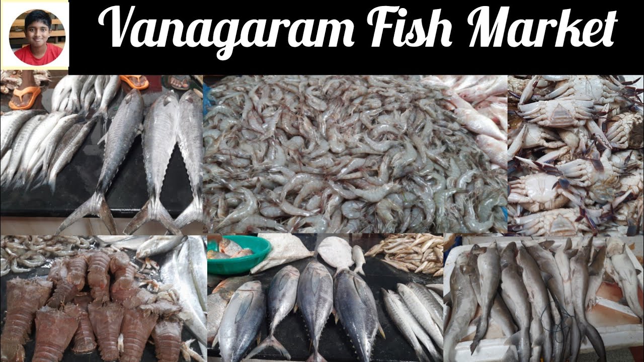 Chennai Biggest Fish Market Vanagaram Fish Market Latest Video chennai-biggest-fish-market-vanagaram-fish-market-latest-video