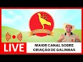 Como ganhar dinheiro com INDIO GIGANTE? - Live