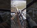 Deerhunting Deer 2022 Gun Season POV Swedish Mauser Chill 