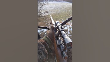 #deerhunting #deer 2022 Gun Season POV: Swedish Mauser & Chill
