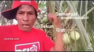 kelapa meme😂🤣