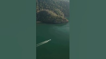 سورة فاطر 🌴 صوت يبعث الراحة مع الطبيعة الخلابة | Surah Fatir 🌴 Soothing Voice with Beautiful Nature
