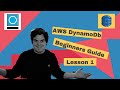 Aws dynamodb 101  lesson 1 theory and creating tables