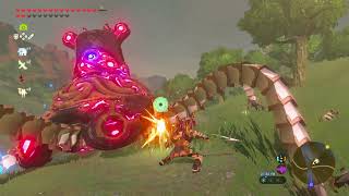 TLoZ: Breath Of The Wild 100% Walkthrough - Orsedd Bridge - Part 155
