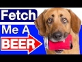 How to Teach your Dog to Fetch a Beer! How to Teach your Dog to Fetch a Beer!
