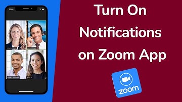 How to Turn On Notifications on Zoom App?