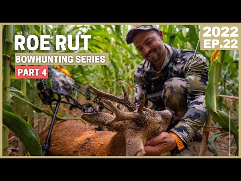 GREAT ROEBUCK TO FINISH THE ADVENTURE💥 BOWHUNTING DEER in FRANCE during the RUT 💥 [2020.EP22]