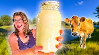 WATCH THIS BEFORE GETTING A FAMILY MILK COW! by Better Together Homestead 2,557 views 2 weeks ago 9 minutes, 14 seconds