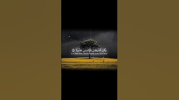 أذكر الله | سورة الفرقان [26-29] #quran #قرآن #القرآن_الكريم #تلاوات  #ياسر_الدوسري #محمد_اللحيدان