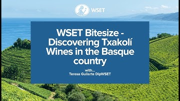 WSET Bitesize - Discovering Txakolí Wines in the Basque country
