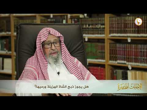 هل يجوز ذبح الشاة الهزيلة ورميها العلامة الشيخ صالح الفوزان
