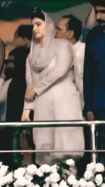 Sania Ashiq PMLN viral video.
