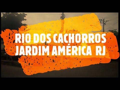 [COMO ESTÁ O RIO DOS CACHORROS JARDIM AMÉRICA RJ] - YouTube