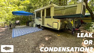 Your Pop Up Camper Isn’t Actually LEAKING | Four Tips for Combating CONDENSATION & HUMIDITY! by It's Poppin' - Pop Up Camping 12,177 views 1 year ago 11 minutes, 59 seconds