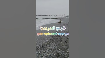 সূরা আল ইনশিরাহ (Al-Inshirah) سورة الشرح বাংলা উচ্চারণ অর্থ অনুবাদ