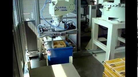 ANTHROPOMORPHIC ROBOTS PALLETIZING LINE FOR BOXES 2