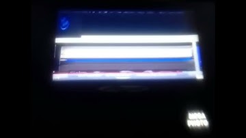 11 More Preview 2 kasey leitch stuffs is Going Weirdness Every Elevated