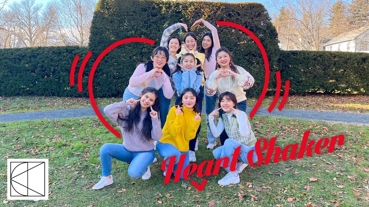 [SKDC] TWICE Heart Shaker Dance Cover YouTube