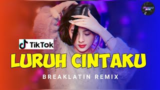 DJ Luruh Cintaku ( FAUZAN MUSIC ) Breaklatin Remix