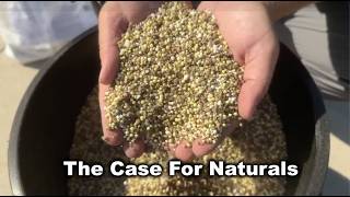 Natural Lawn Fertilizers Are Cheaper and Add More Value to Soil - Here's How