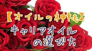 【オイルの神秘】キャリアオイルの選び方